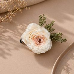 Soft Rose Blossom